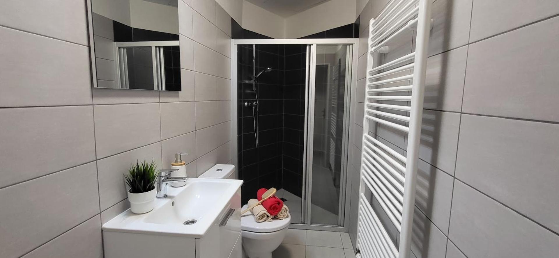 Minoritska Apartment Brno
